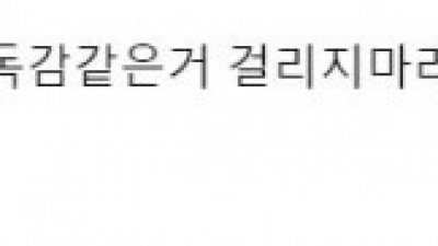                  독감     