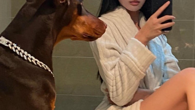                  ㅇㅎ)누나 나좀 키워 주세요            